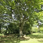 Du Manoir De Savigny * ヴァローニュ