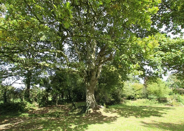 Du Manoir De Savigny * Valognes